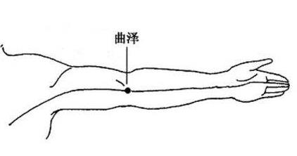 曲泽穴！