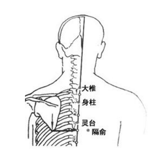 灵台穴疼痛怎么回事？它的准确位置及按摩灵台穴的功效与作用有哪些？