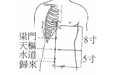 梁门穴的功效与作用