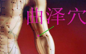 曲泽穴