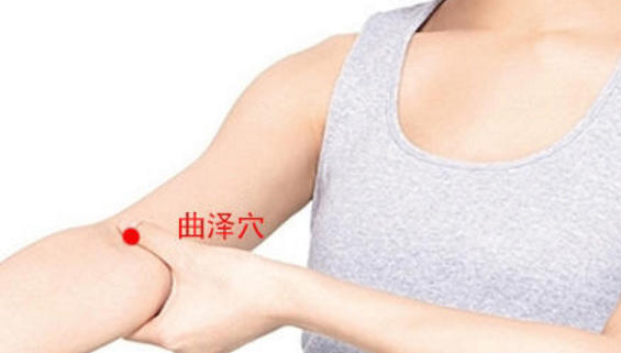 曲泽穴的位置