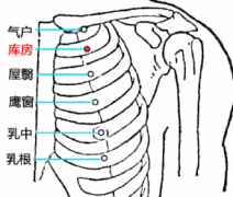 常按摩库房穴有哪些好处？库房穴准确位置图