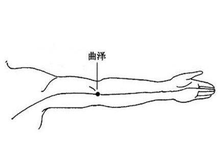 曲泽穴的位置