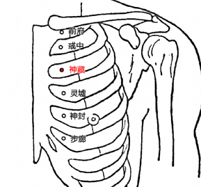 神藏穴的准确位置