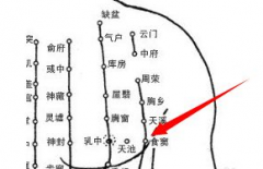 中医教你按摩食窦穴治疗打嗝，食窦穴的位置怎么找你？