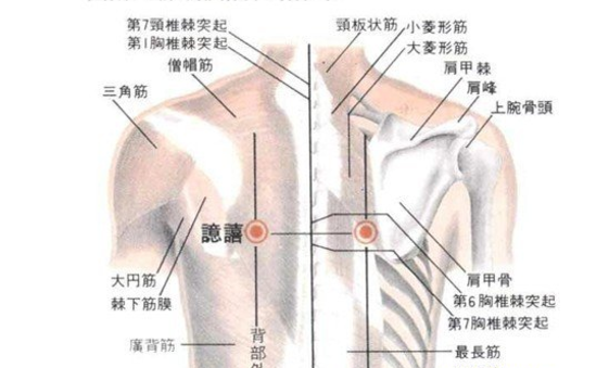 譩譆穴的图片