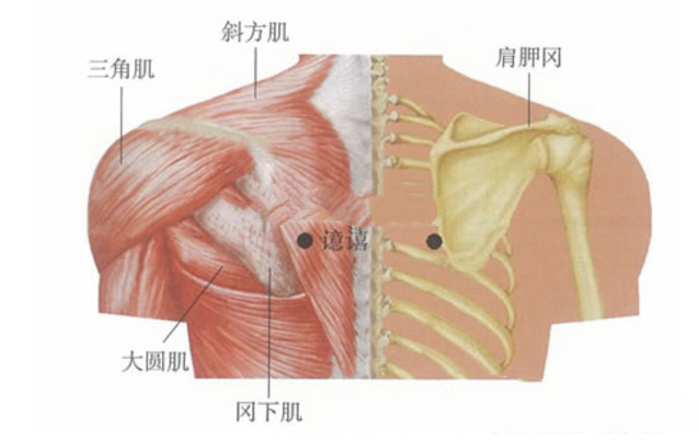 譩譆穴的按摩方法