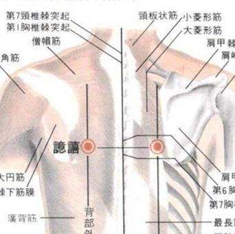 譩譆穴疼痛怎么回事？譩譆穴的准确位置及其功效与作用有哪些？