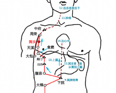 胸乡穴的准确位置