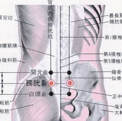 膀胱俞穴疼痛是怎么回事？它的准确位置极其按摩的方法与作用你知道吗？