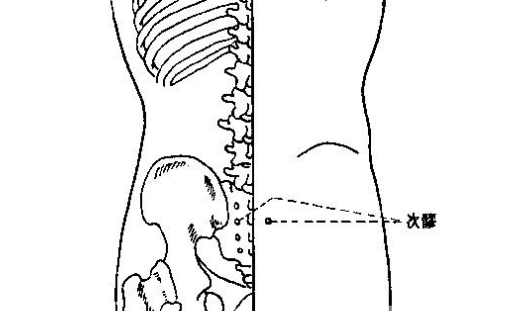 次髎穴穴位配伍