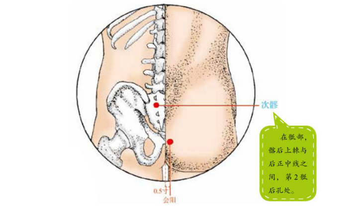 次髎穴位置