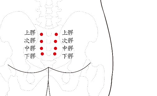 八髎穴的定位