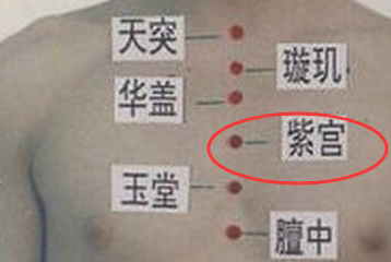 紫宫穴的准确位置