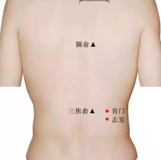 志室穴疼痛是什么原因引起的？志室穴的准确位置及其按摩方法有哪些？