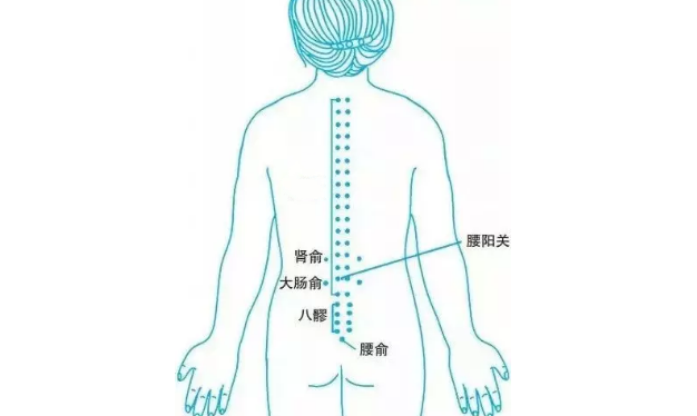 大肠俞穴的功效与作用