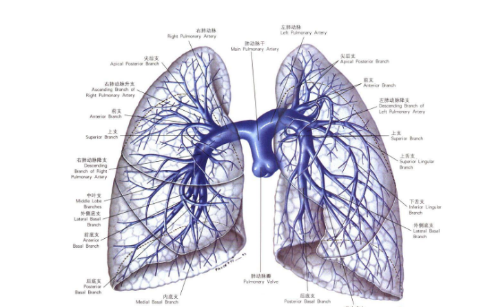 肺假性淋巴瘤的治疗方法