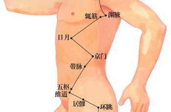  日月穴的准确位置图