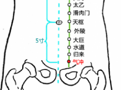 中医按摩气冲穴的好处及其气冲穴的位置！