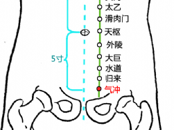 气冲穴的图片