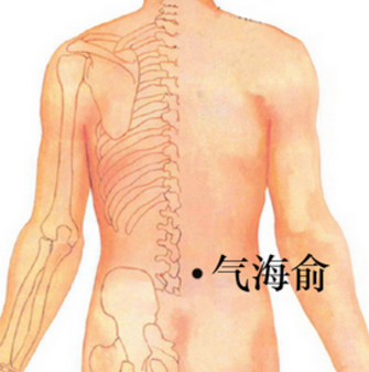 气海俞穴的准确位置在哪？按摩气海俞穴的功效与作用有哪些？