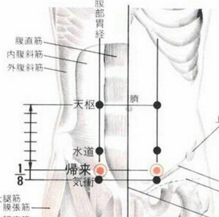 归来穴的准确位置在哪？