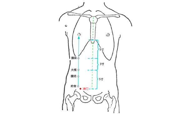 按摩冲门穴可治疗前列腺炎,它的准确位置