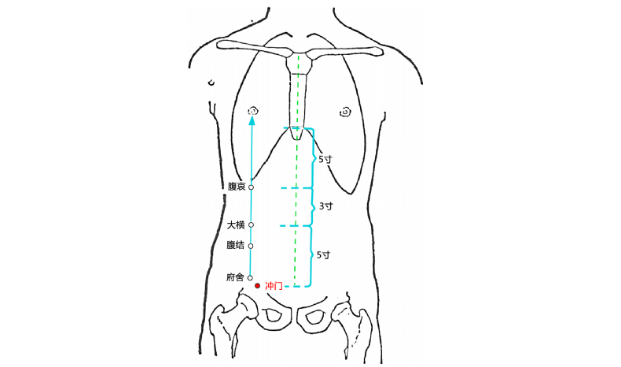 冲门穴的图片
