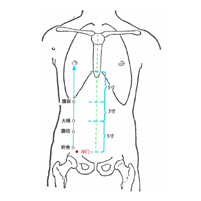 按摩冲门穴可治疗前列腺炎，它的准确位置你知道在哪吗？