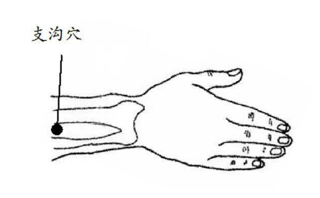 支沟穴图片