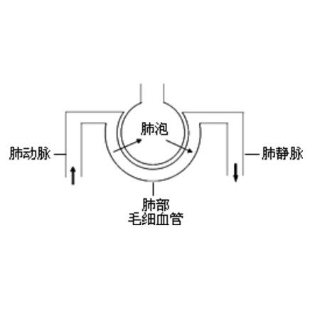 肺泡-毛细血管阻滞综合征的症状表现及其诊断检查与治疗方法有哪些？