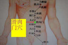 减肥穴——滑肉门穴的具体位置及其按摩方法！