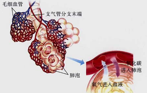 肺泡通气低下综合征的治疗方法