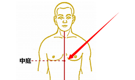 中庭穴图片
