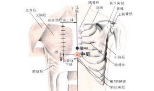 中庭穴的功效与作用