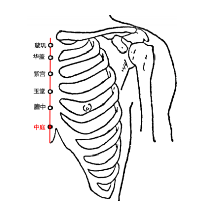 中庭穴疼痛怎么回事？中庭穴的准确位置及其功效与作用！