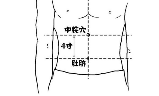 中脘穴位置