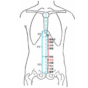 中医教你按摩中注穴可利