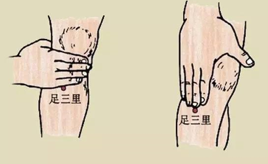 足三里穴