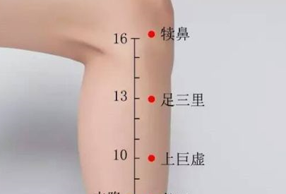 足三里穴