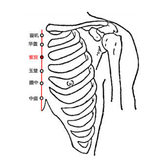 紫宫穴疼痛怎么回事？紫宫穴的准确位置及其功效与作用解析！