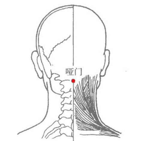 哑门穴的准确位置在哪？按摩哑门穴的功效与作用有哪些？