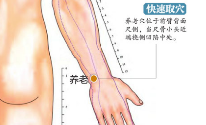 养老穴的功效与作用