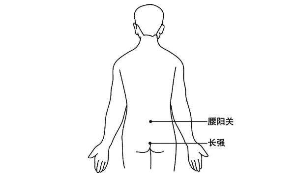 腰阳关穴图片