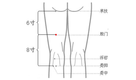 殷门穴图片