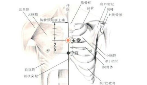 玉堂穴主治疾病