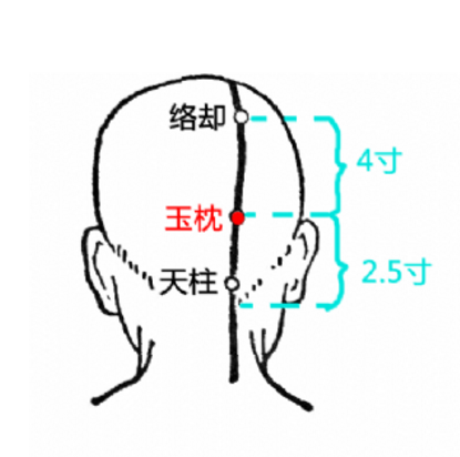 玉枕穴疼痛是什么原因？中医教你正确定位玉枕穴的准确位置！