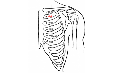彧中穴位置