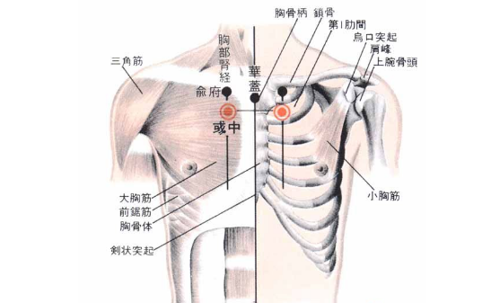 彧中穴的功效与作用