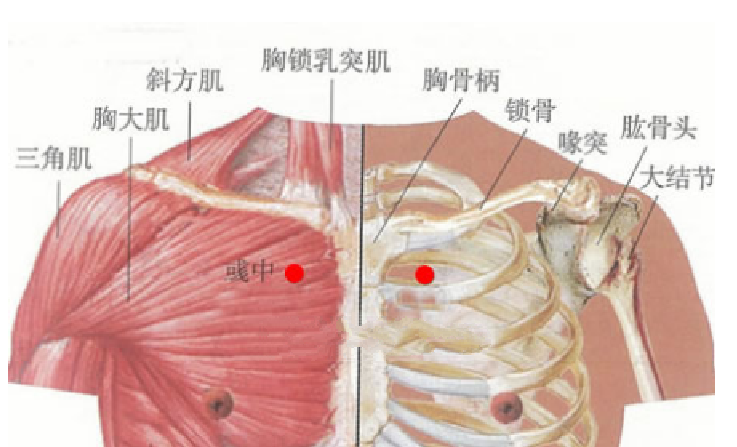 彧中穴主治疾病